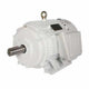 Motor de bomba de aceite de 125 HP - Bastidor: 445T - RPM: 1200