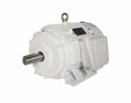 Motor de bomba de aceite de 125 HP - Bastidor: 445T - RPM: 1200